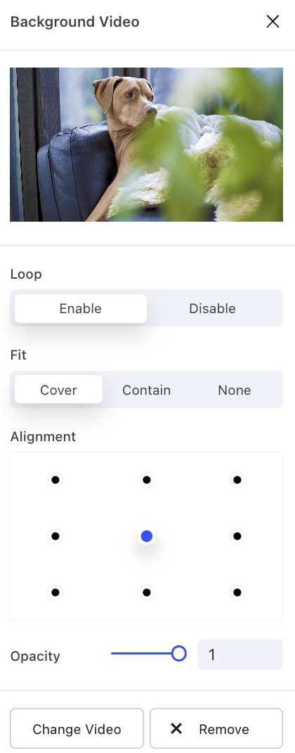 Nectarblocks Background Video Settings