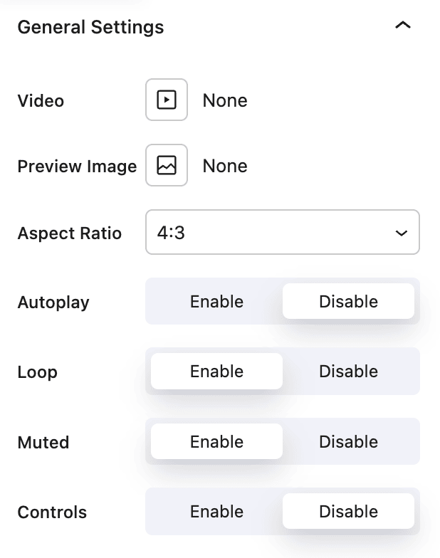 Nectarblocks Video Player Settings